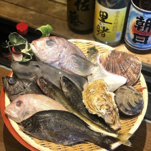 【いつでも新鮮！】生け簀には新鮮な魚介類が充実！