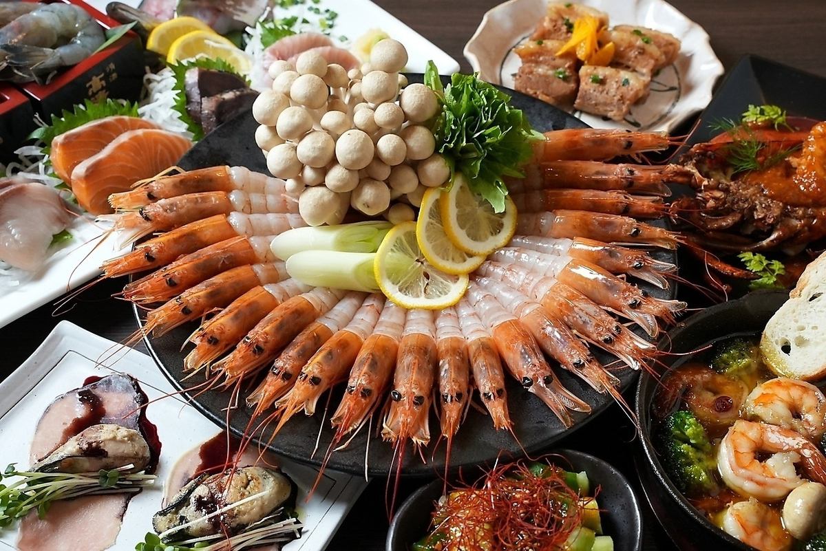 [Opening October 1, 2022♪] Daruma, a Japanese-style seafood izakaya in Akasaka where you can enjoy shrimp and oysters