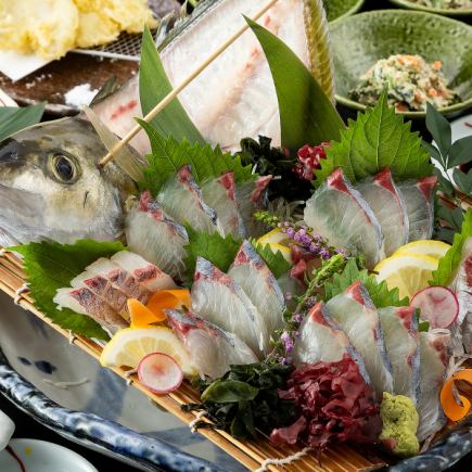 【九州特選】旬の活魚造りや刺身5種、馬刺しや鯨しゃぶ、いかしゅうまい等《120分飲み放題付》