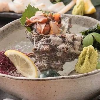 活サザエ造り 1個