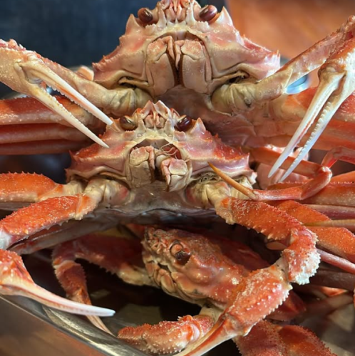 季節ごとの素材揃ってます。