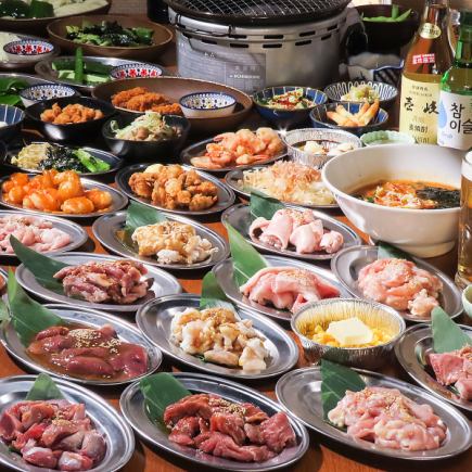 【生ビールも】120分80種飲放『Bコース』ホルモン焼肉×つまみ逸品×網焼き《全40品食べ放題》