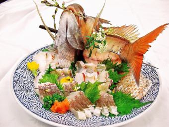 什锦红海鲷庆祝