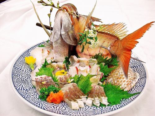 什锦红海鲷庆祝