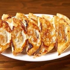 crispy fried gyoza