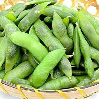 Edamame