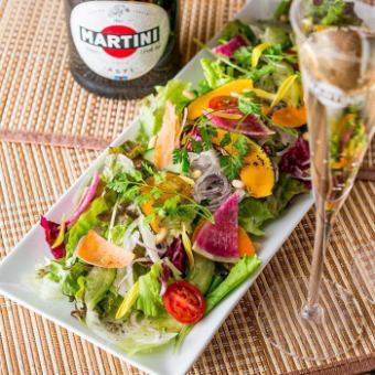 Colorful vegetable salad
