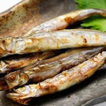 孩子們的狗屎