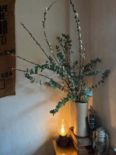 Today it's a relaxed atmosphere in the store.
Perfect weather for a cafe☕️

The interior flowers in the store have also been renewed.
Eucalyptus and red willow
I never get bored of watching the red willow trees blossom day by day.I feel attached to it.
Please enjoy it during this period.

We are open as usual for dinner today

Opens at 18:00 and closes at 23:00

Today's recommendation: "Steamed clams in white wine"
Sorry I don't have any photos.

The photo posted is of the standard menu item, roast duck/prosciutto.
If you're unsure, check this out

We look forward to your visit.

Have a nice weekend.

#abillcoffeeplus
#Abil Coffee Plus
#Shin-Matsudo
#Matsudo
#Matsudo Gourmet