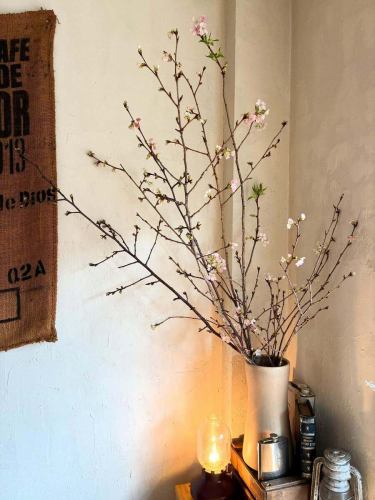 Since last week, the interior flowers in the store have been Kawazu cherry blossoms.
When it arrived it was just a bud, but it bloomed in a few days 🌸
I'm looking forward to seeing how much they've bloomed after the holidays.
Please come and relax and enjoy the early arrival of spring.
We are closed tomorrow.
Opening at 10:00 on Thursday, February 19th
Reservations can be made via Hot Pepper Gourmet Online or by phone during business hours.
We look forward to your reservations and visits.
#abillcoffeeplus
#Abil Coffee Plus
#Shin-Matsudo
#Matsudo