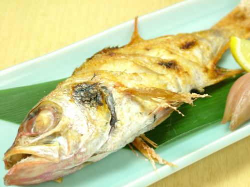 裝滿來自日本海的新鮮魚類，例如喉嚨黑和南半蝦！