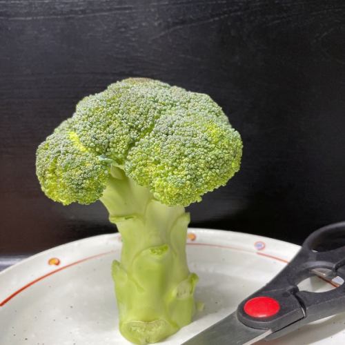Manma Broccoli