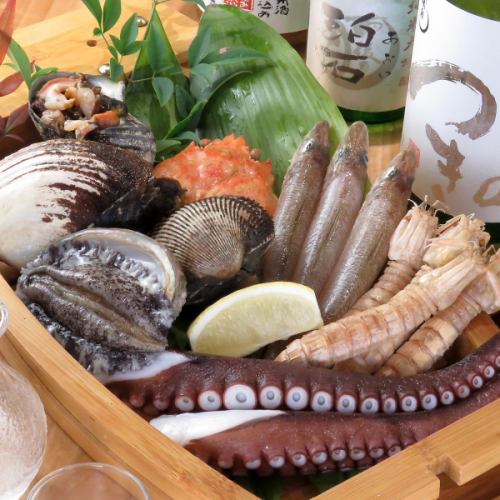 ≪旬の海の幸を最高の状態でご提供≫