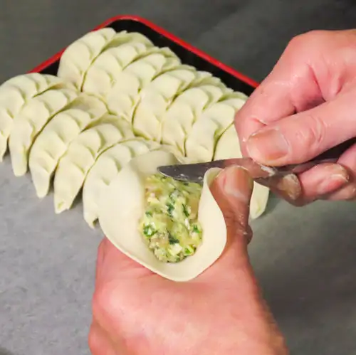 We also recommend Jo-i's hidden gem, homemade dumplings!
