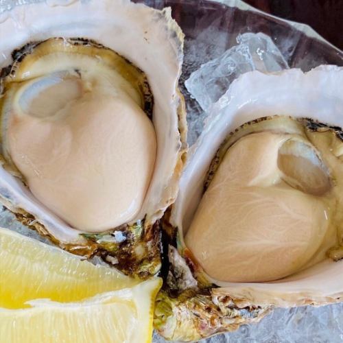 解禁間近☆生牡蠣 室津産 直送品