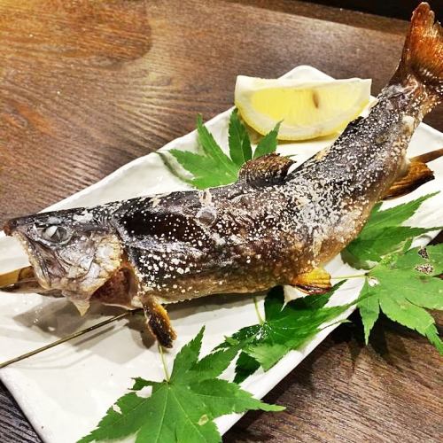 塩焼き(山女魚/岩魚)