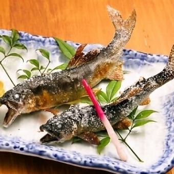 【3H飲み放題付】マス・鮎・鰻串など自慢の川魚を心ゆくまで楽しめるリーズナブルコース◎