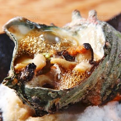 活 サザエのつぼ焼or姿造り(100g当り)