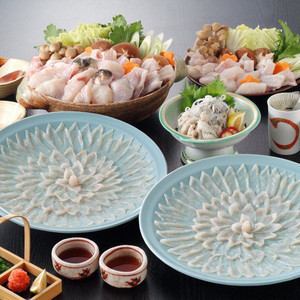 [Winter only] (3-4 servings) Live-killed tiger pufferfish set over 1kg...1 set from 14,000 yen (15,400 yen including tax)