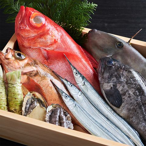 【鮮度が自慢の海鮮料理】毎朝仕入れるこだわりの鮮魚を使用した、霞でしか味わえない創作料理をご提供！