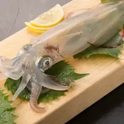 呼子直送!ヤリイカ活造り