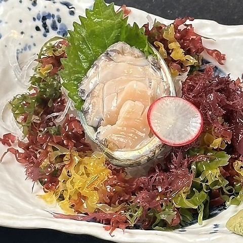 Live-killed abalone sashimi