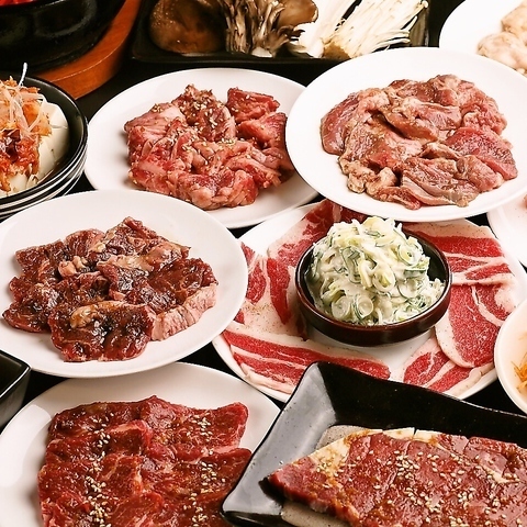 本格焼肉80種類全て食べ放題!120分飲み放題付4800円(税込) ~!
