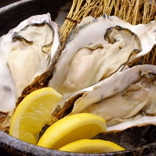 牡蠣が旨い！！！～各地の味を堪能～