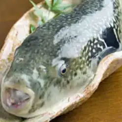 [Course sold by the portion] Tiger pufferfish course