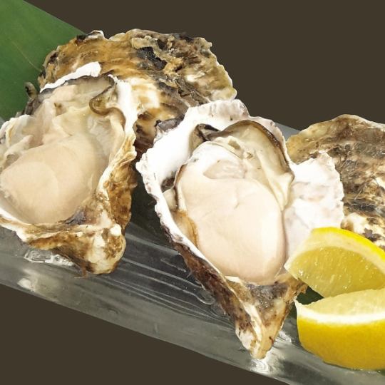鳥取県産　ミルキー牡蠣　各1個