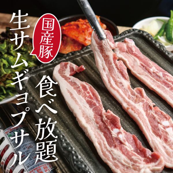 Enjoy fresh domestic pork! All-you-can-eat delicious raw samgyeopsal