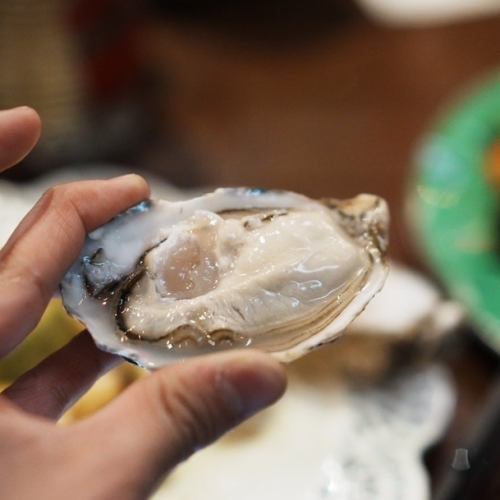 Oysters, a specialty of Fukuyama