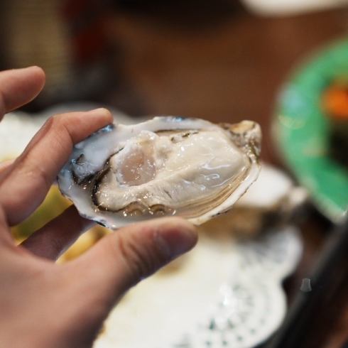1年中新鮮な牡蠣×魚料理が楽しめるカジュアルイタリアン♪