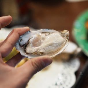 Fresh oysters from Fukuyama
