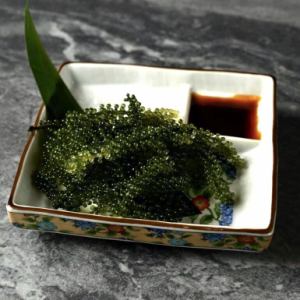 海葡萄