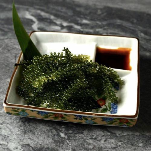 海葡萄