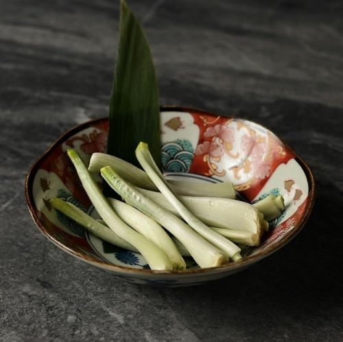 <季节> 岛葱