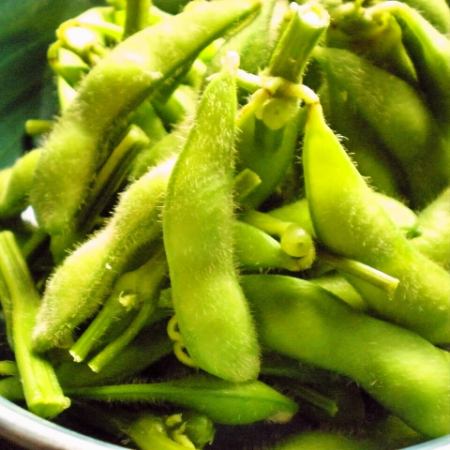 Edamame with branches