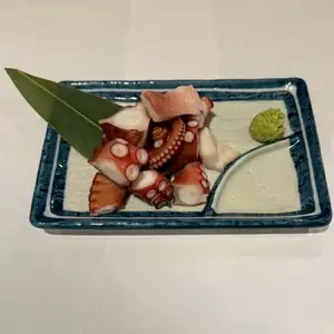 octopus