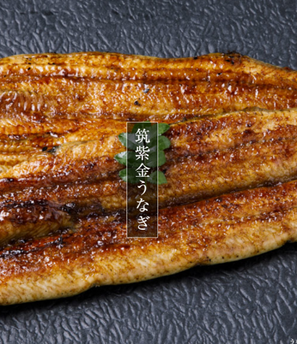 筑紫金うなぎ