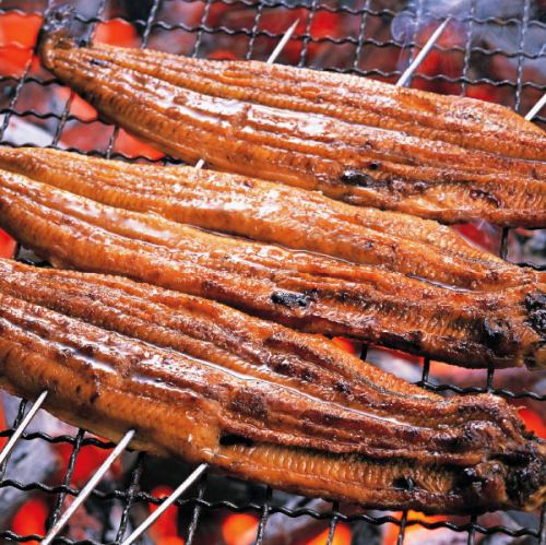 【土佐のいごっそう】天然の青魚や白身魚を食べて育ち、脂ののりが良く力強いのが特徴。
