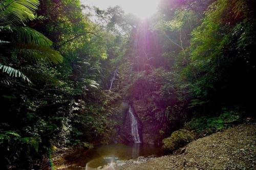 ■Natural water from Nanataki, a famous water source in Okinawa, a World Heritage Site