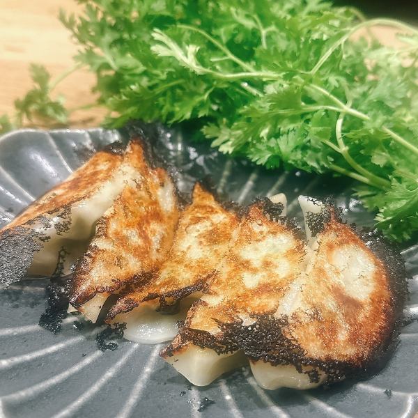 【新名物】パクチー餃子