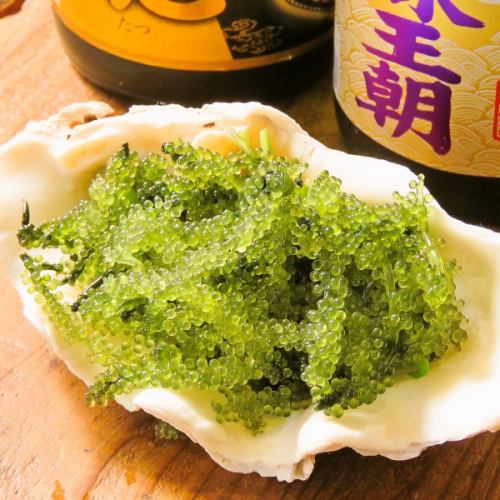 海ぶどう