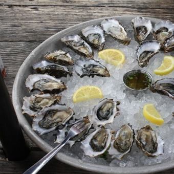 今日精選生蠔 12 只
