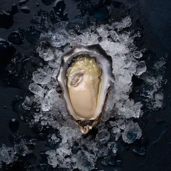 「グランドセントラル」の生牡蠣 フレッシュオイスター 1pGrand Central Fresh Oysters