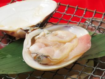 Large clams steamed in sake, garlic