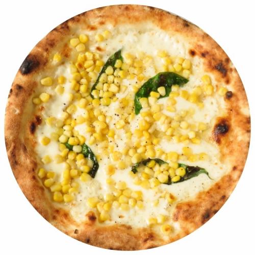 ビアンカ　バンビーノ ★人気