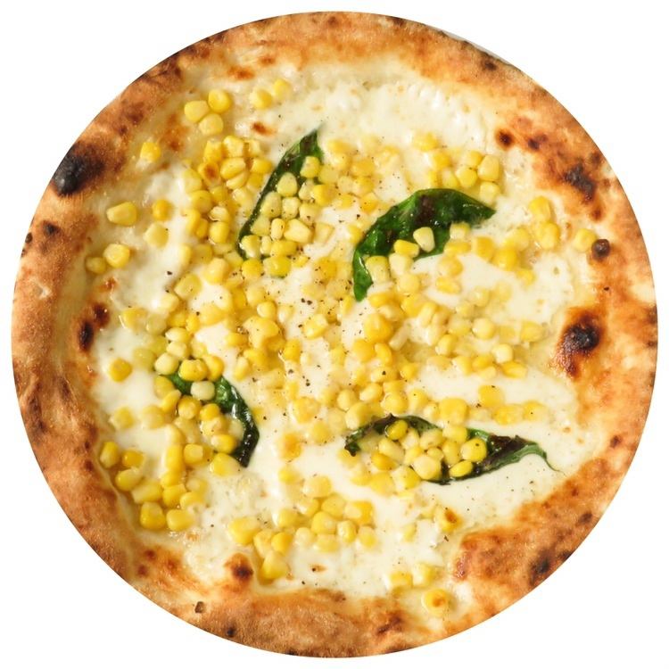 ビアンカ　バンビーノ ★人気