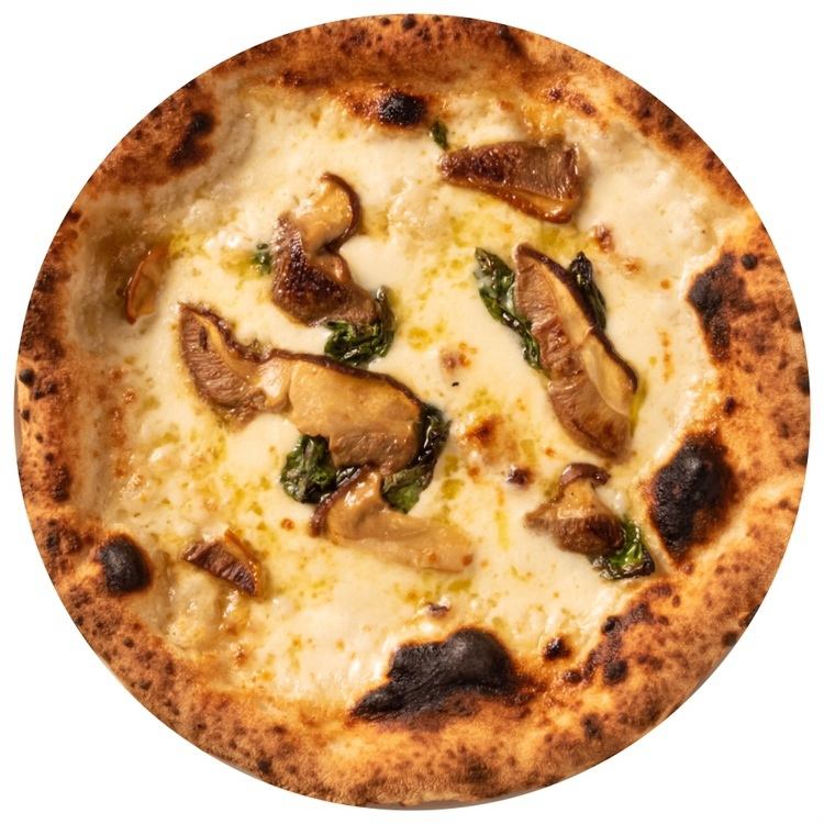 ビアンカ　ポルチーニ